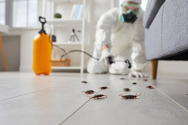 Commercial Rodent Management in Wynantskill